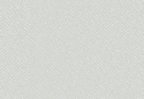 SL028咖色皮隐纹